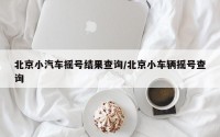北京小汽车摇号结果查询/北京小车辆摇号查询