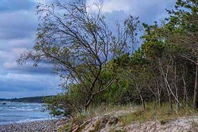 吉林长春的疫情：防控新策略显成效