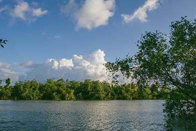 北京新增1例本土确诊 住朝阳区，轨迹涉超市、餐馆
