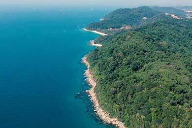 山东潍坊疫情最新消息+防控升级